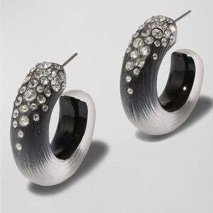 Alexis Bittar earrings